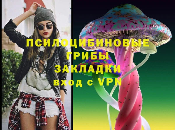 ПСИЛОЦИБИНОВЫЕ ГРИБЫ Абдулино