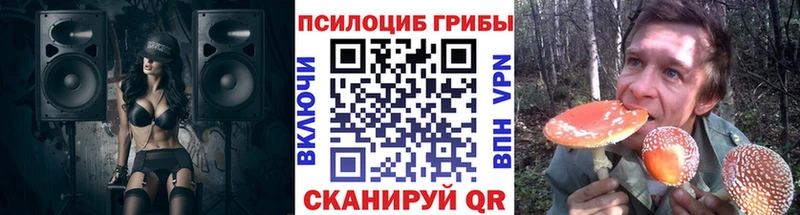 Псилоцибиновые грибы Magic Shrooms  Эртиль 